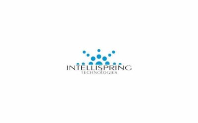 Intellispring Acquires End-2-End IT Services